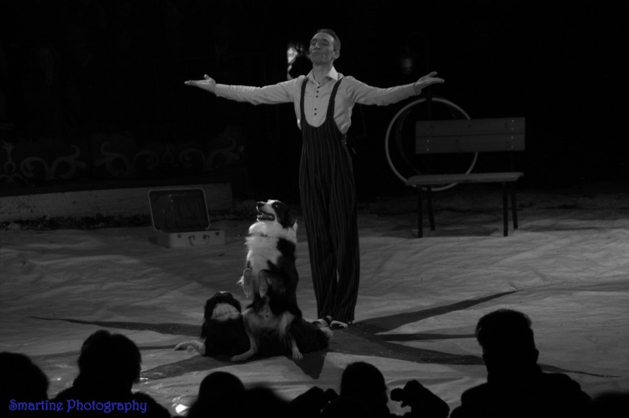 Rhodes Dumas en zijn Bordercollies. Smartine Photography