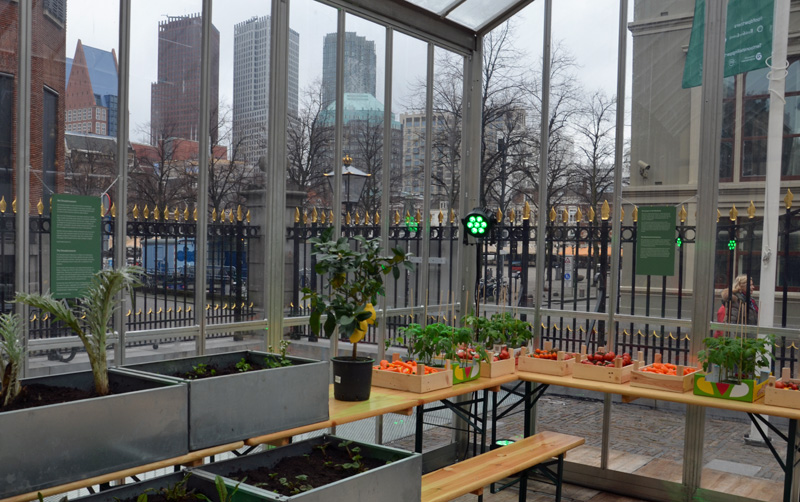 Kas op het voorplein (foto auteur)