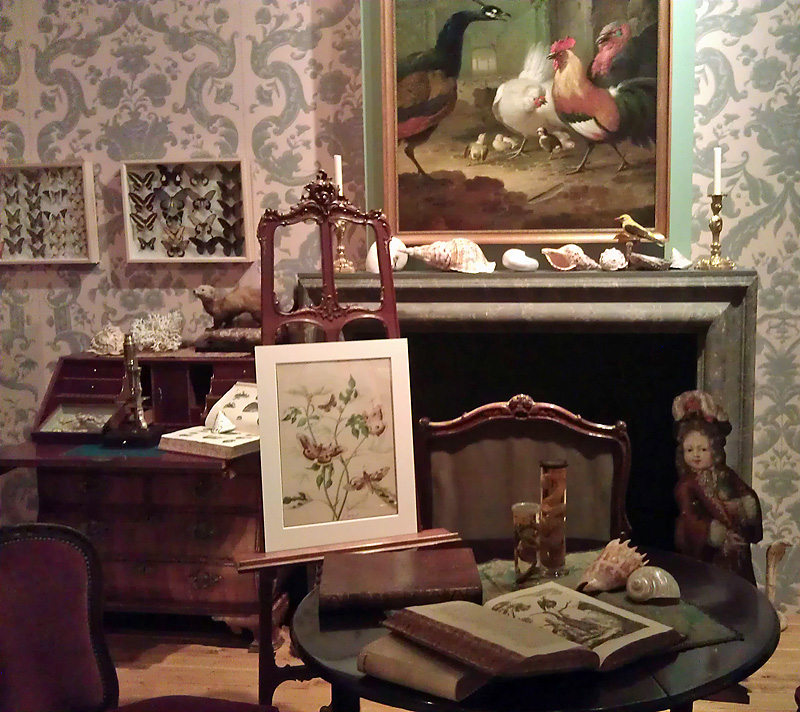 Reconstructie van een wetenschappelijk kabinet