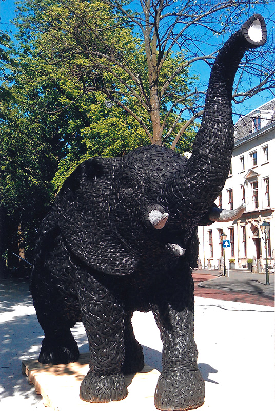 Afrikaanse olifant ter hoogte van Diligentia (2012)