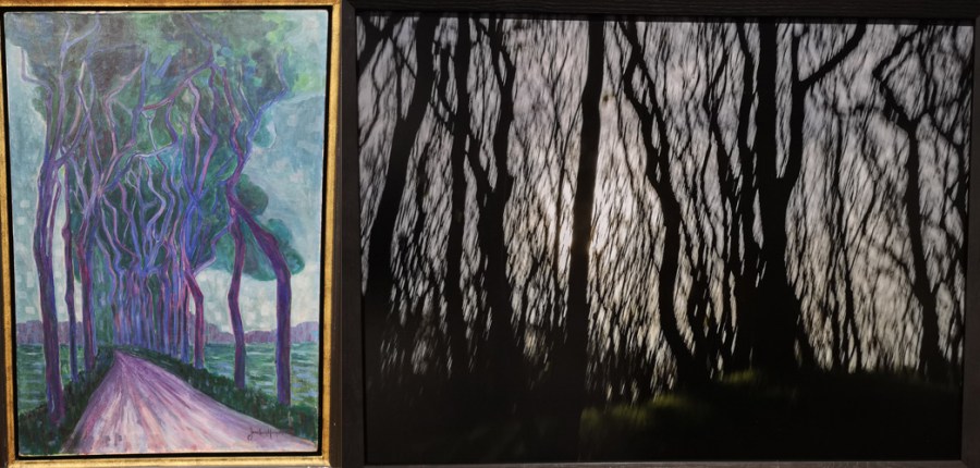 Bomen volgens Van Heemskerck en Vanfleteren