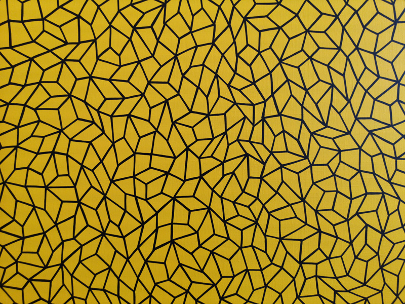 Infinity Nets (Eksyo), 2010, detail