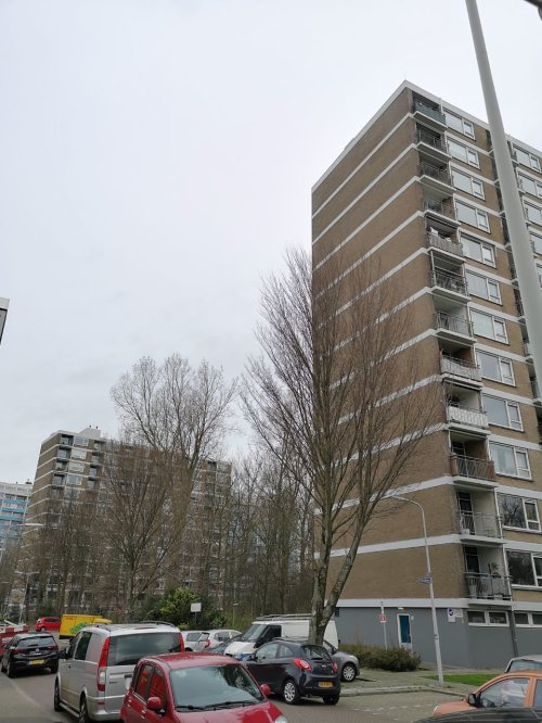 De flats van dichtbij