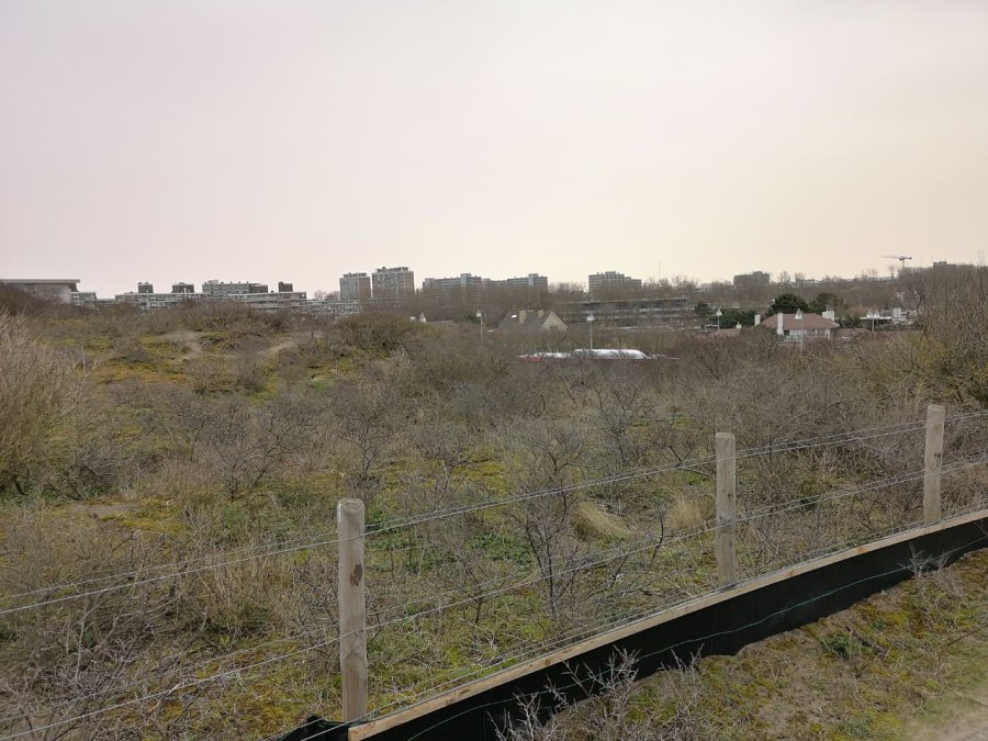 Uitzicht vanuit de zuidkant op flats in de verte