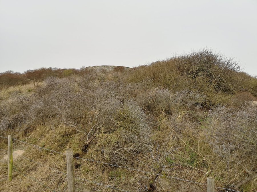 Uitzichtpunt noord in de duinen