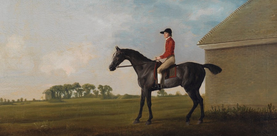 George Stubbs, Gimcrack, with John Pratt up, on Newmarket Heath, uitsnede