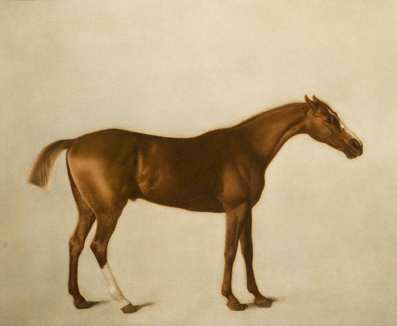 George Stubbs, Studie van Eclipse