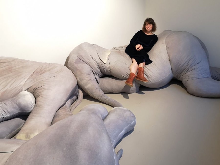 Catinka Kersten op één van haar olifanten (foto auteur)