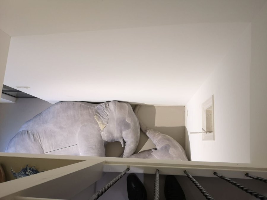 Gezicht op de olifanten van bovenaf (foto auteur)