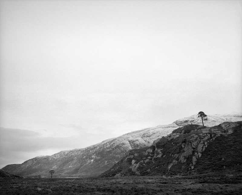 BOREALIS Schotland, februari 2017 - Two Granny Pines © Jeroen Toirkens - Courtesy Kahmann Gallery